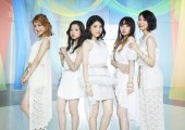 9nine09 9nineの写真