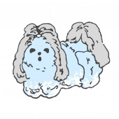 ancco anccoの写真
