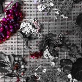Brose&Butter Brose&Butter.の写真