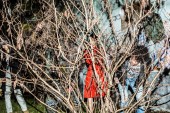 14202963_1084933154910116_91178945_o NINJASの写真