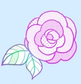 15_takadarose1 高田ローズの写真
